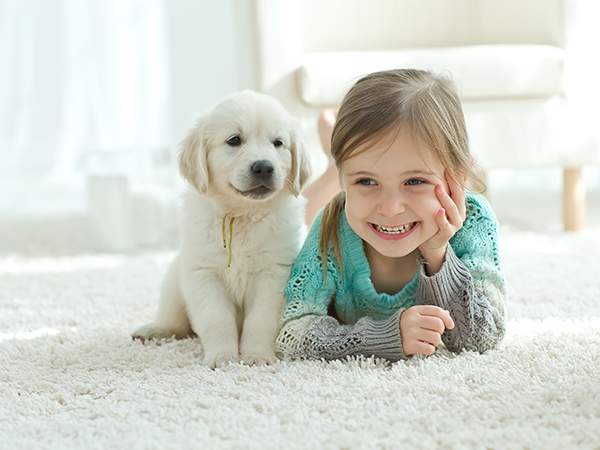 Professional Carpet Cleaning Services Near Me