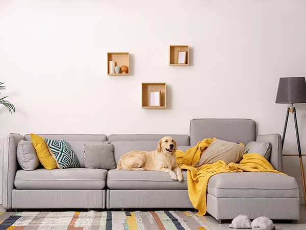 Upholstery Cleaning Near Me